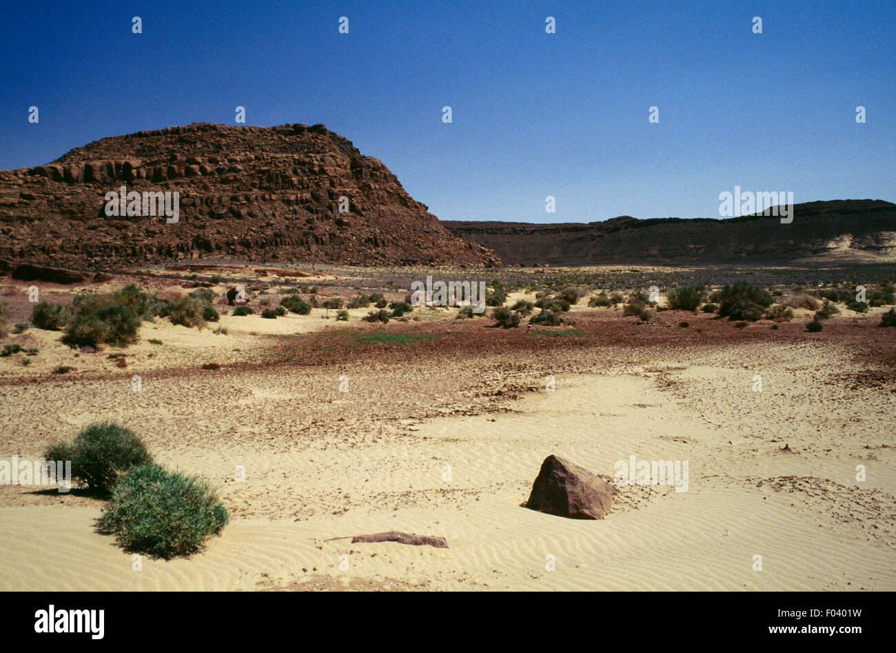 Il deserto del Sahara vicino a Bechar, Algeria. Foto Stock