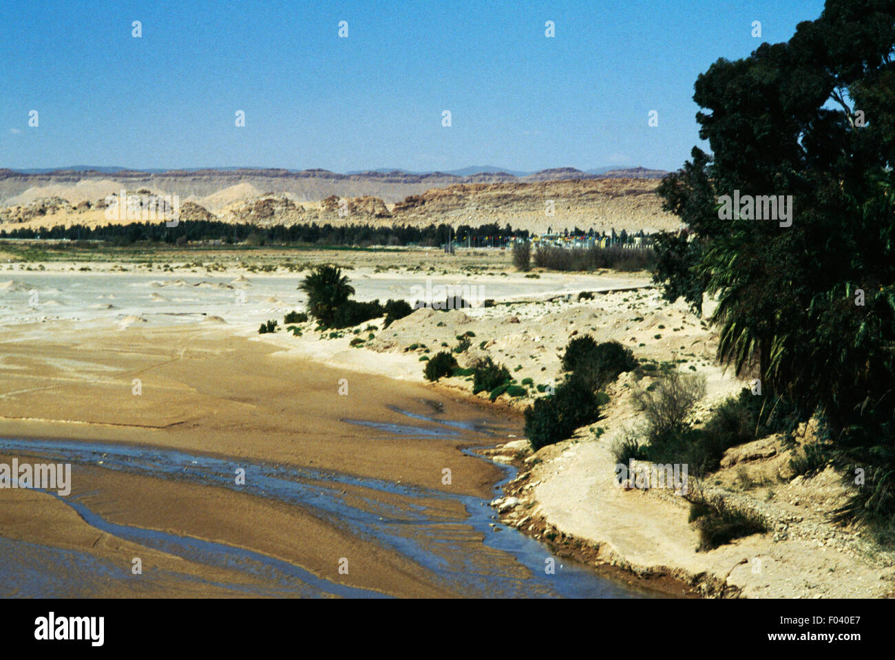 Il Djedi il letto del fiume nei pressi di Laghouat, Algeria. Foto Stock