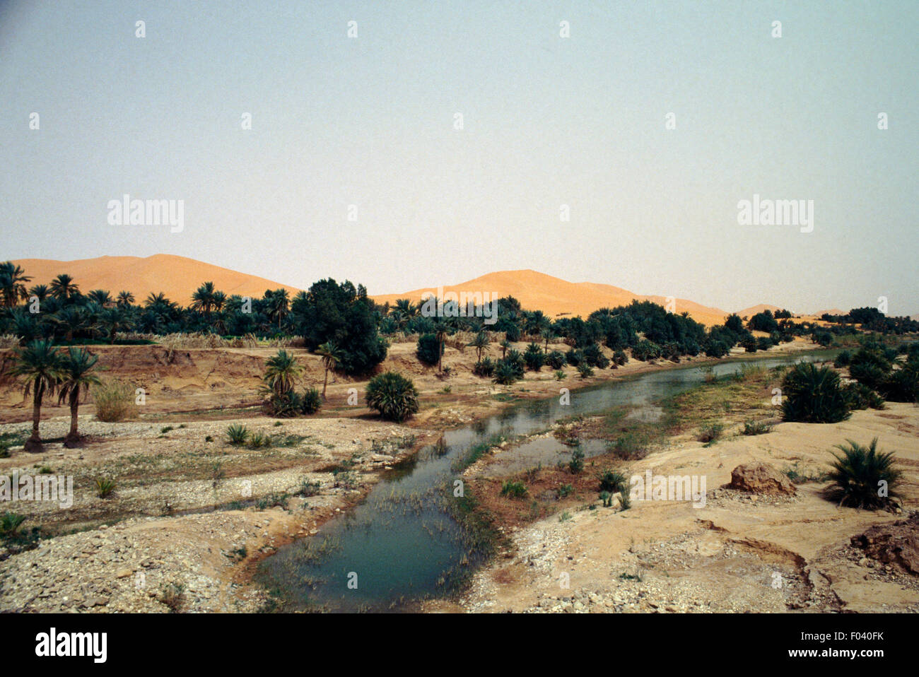 Oasi nei pressi di El Ouata, Algeria. Foto Stock