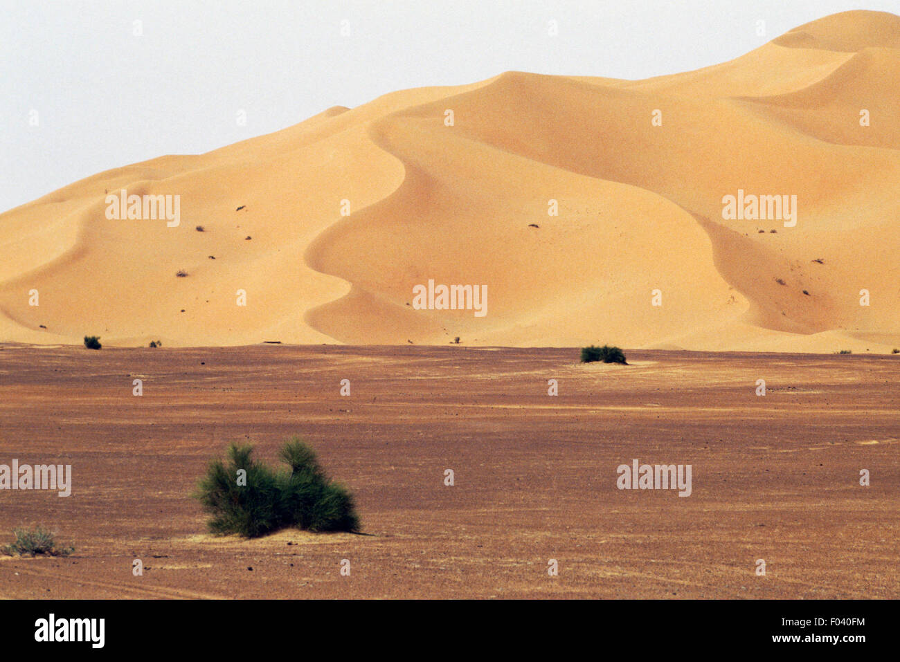 Il paesaggio nei pressi di Beni Abbes, deserto del Sahara, Algeria. Foto Stock