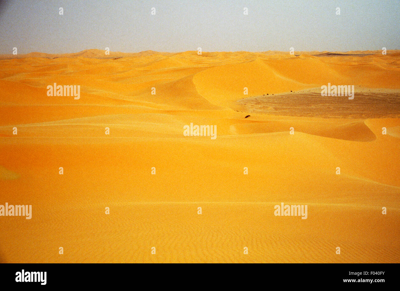 Deserto di sabbia vicino a Beni Abbes, deserto del Sahara, Algeria. Foto Stock