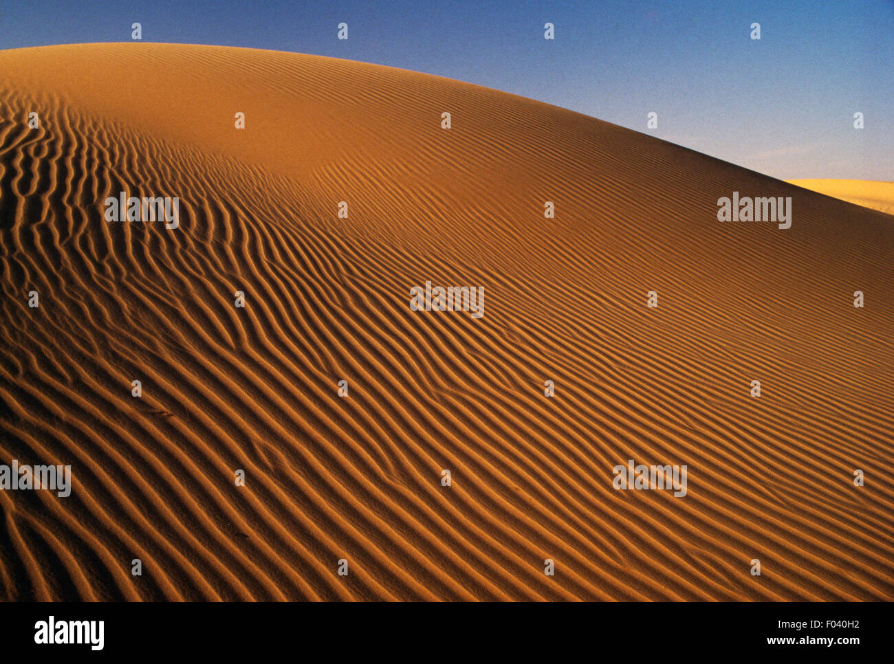 La luce riflette le dune di sabbia, vicino a El Oued, il Deserto del Sahara, Algeria. Foto Stock