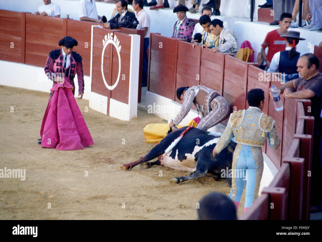 La morte del bull durante la corrida, Aracena, Andalusia, Spagna. Foto Stock
