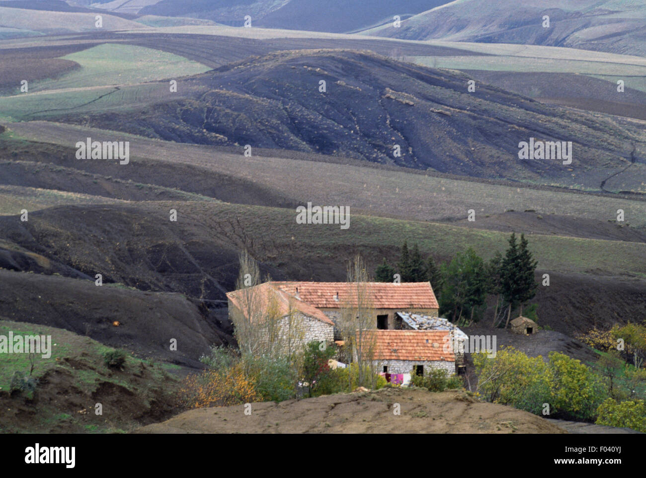 Paesaggio con farm, Dillo ad Atlas, Algeria. Foto Stock