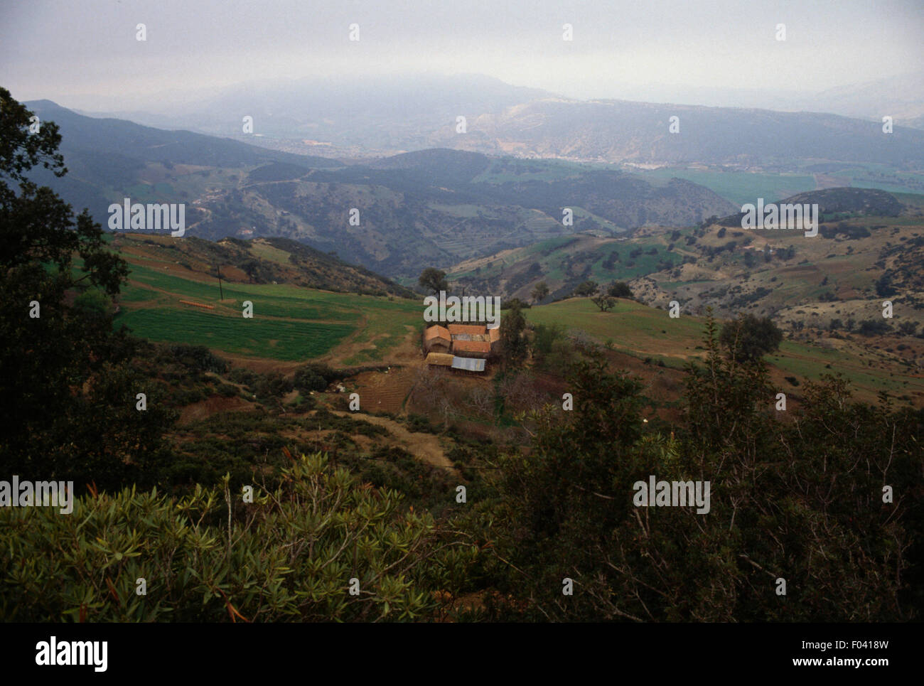 Paesaggio, Dillo ad Atlas, Algeria. Foto Stock