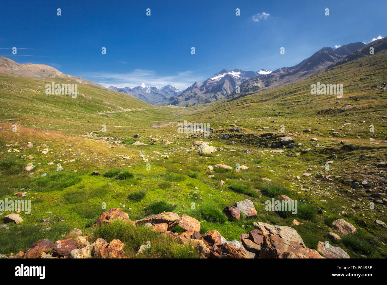 Il Parco Nazionale dello Stelvio e il Passo Gavia, Valfurva, Alpi, Italia Foto Stock
