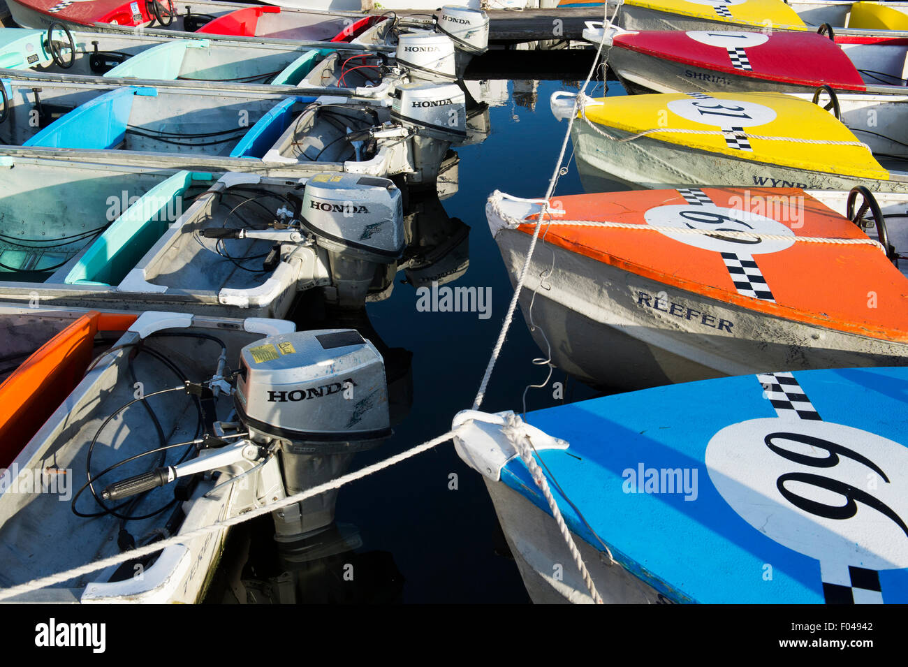 Noleggio di barche a motore fuoribordo sul fiume nella luce del mattino a Henley on Thames, Oxfordshire, Inghilterra Foto Stock