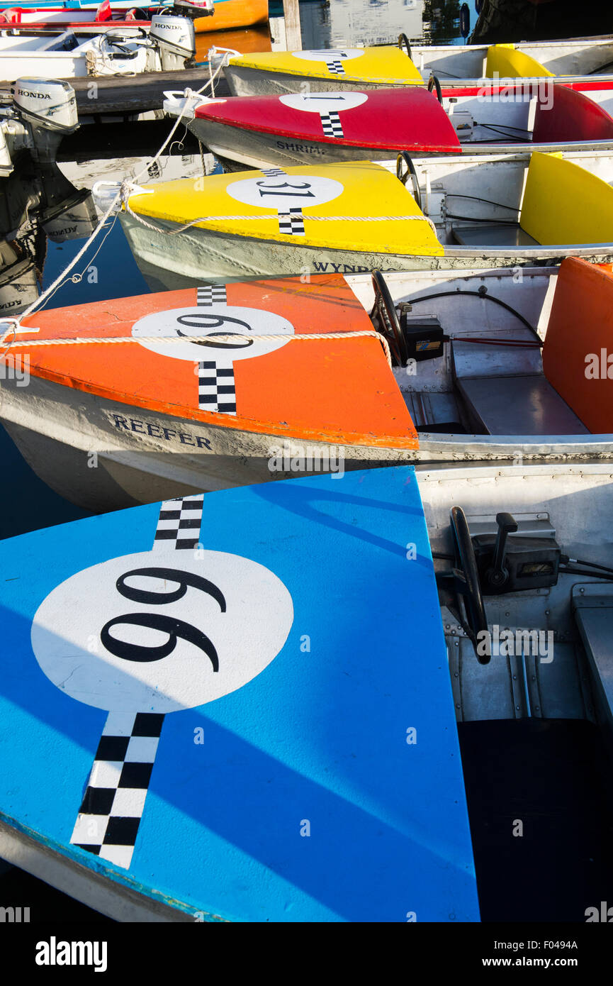 Noleggio di barche a motore fuoribordo sul fiume nella luce del mattino a Henley on Thames, Oxfordshire, Inghilterra Foto Stock