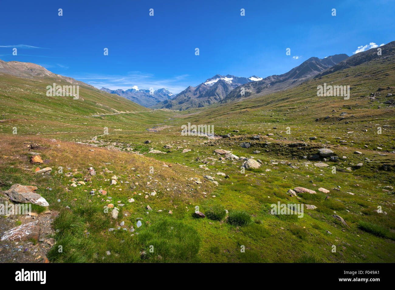 Il Parco Nazionale dello Stelvio e il Passo Gavia, Valfurva, Alpi, Italia Foto Stock