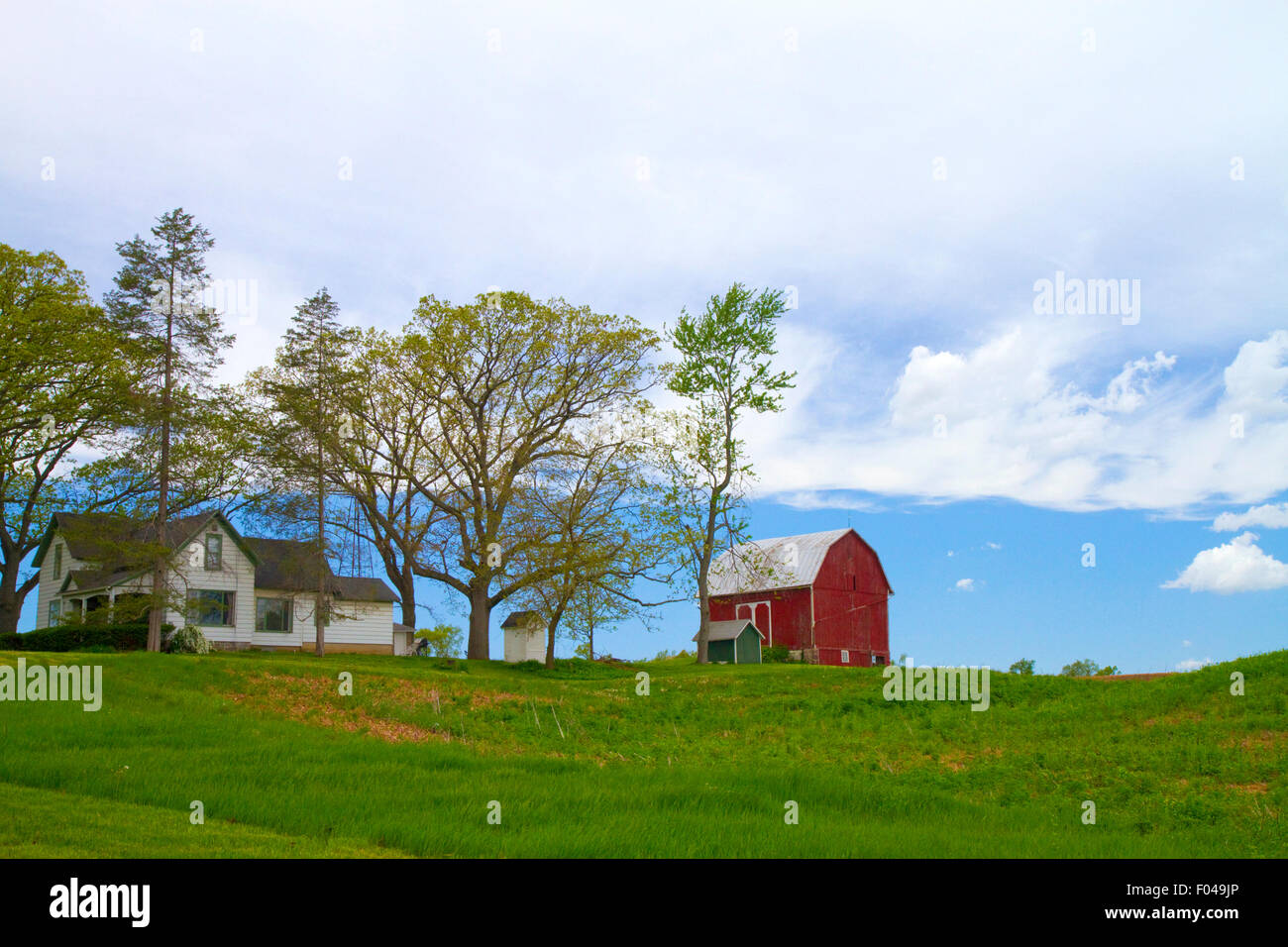 Campo di erba medica con granaio rosso e agriturismo rurale della contea di Allegan, Michigan, Stati Uniti d'America. Foto Stock