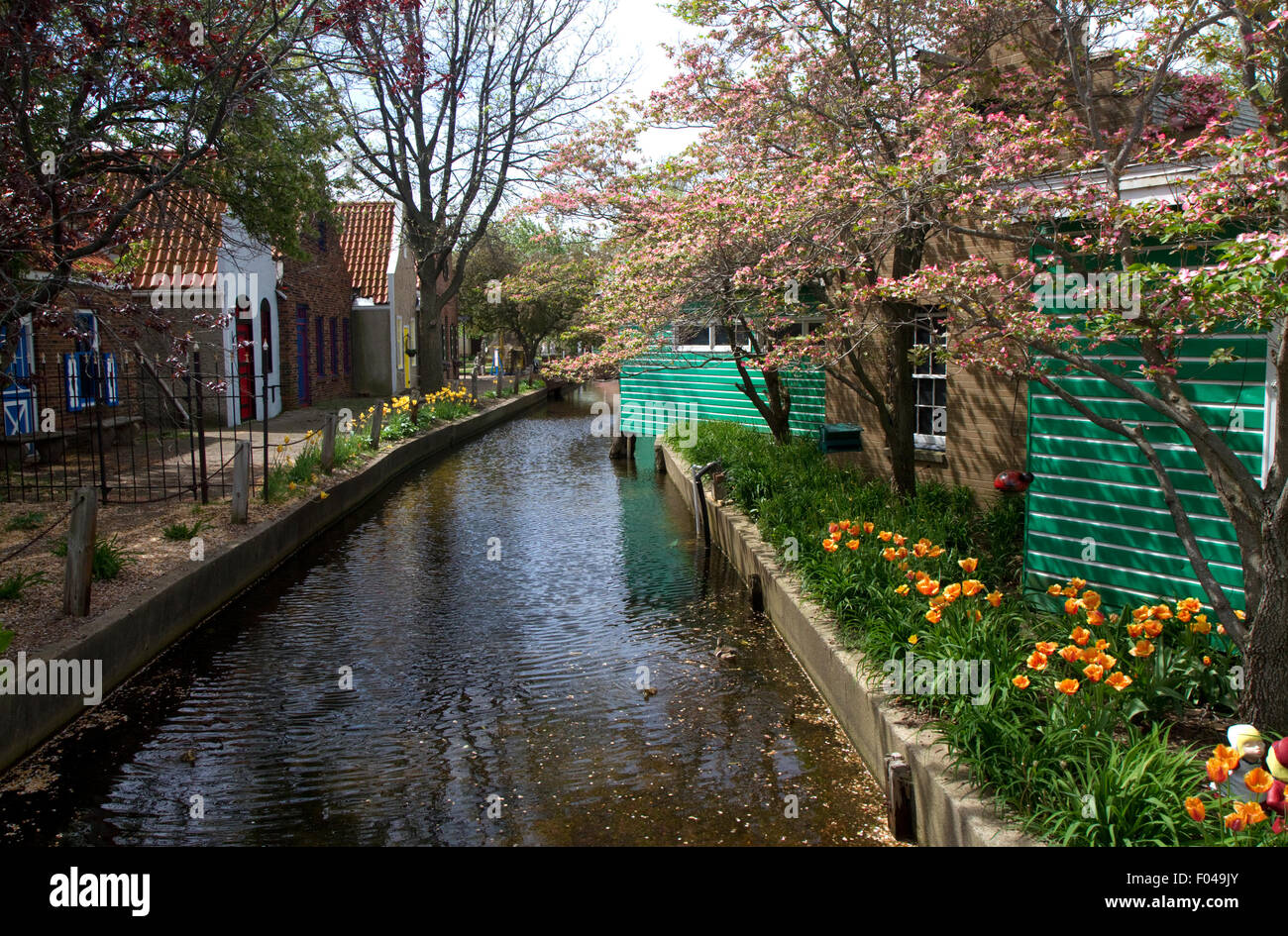 Il villaggio olandese si trova in Olanda, Michigan, Stati Uniti d'America. Foto Stock