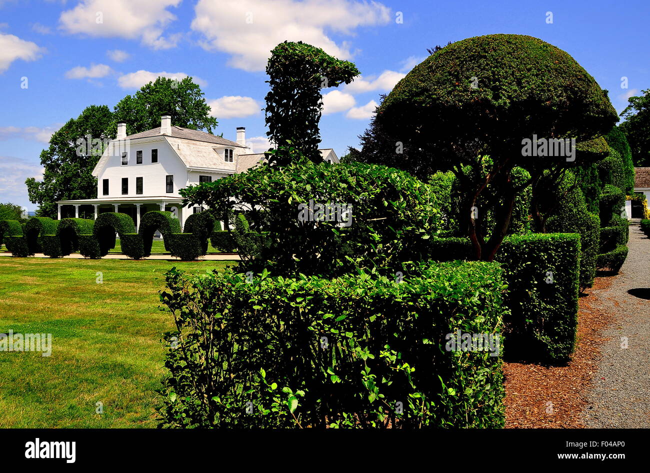 Portsmouth, Rhode Island: Topiaria da un predisposto di struzzo di inglese ligustro e The Brayton casa di famiglia a animali verde Foto Stock