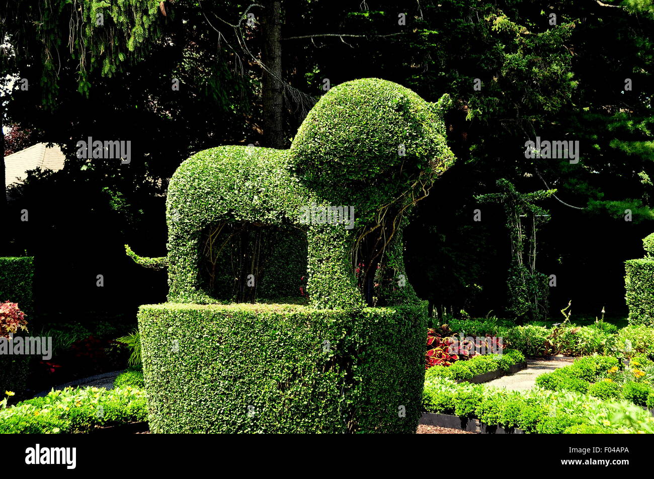 Portsmouth, Rhode Island: un finemente topiaria da lion realizzato con l'inglese ligustro a verde Topiaria da animali Gardens Foto Stock