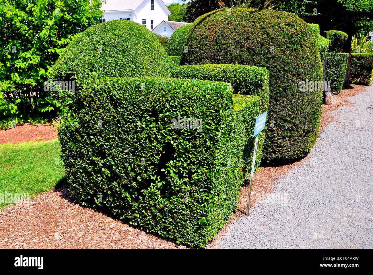 Portsmouth, Rhode Island: Topiaria da una sedia realizzato dall'inglese ligustro a animali Verde Giardini Topiaria da * Foto Stock