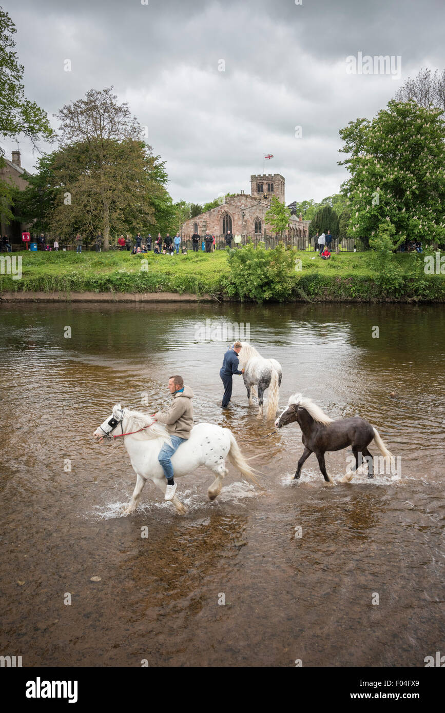 Appleby Horse Fair, Appleby-in-Westmoreland, Cumbria. Foto Stock