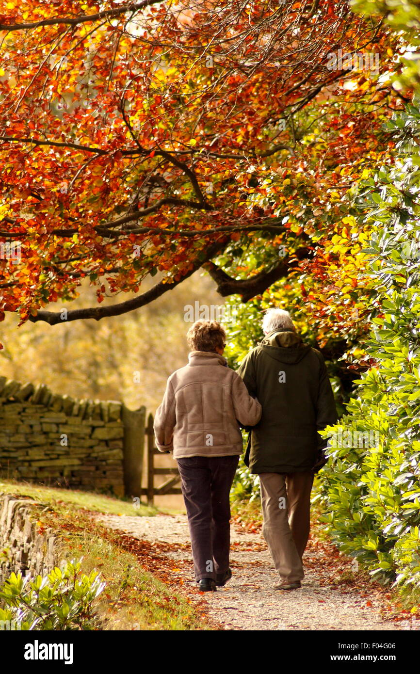 Una coppia senior a piedi al di sotto di autunno di foglie colorato nel bosco a Longshaw Station wagon in Peak District, England Regno Unito Foto Stock
