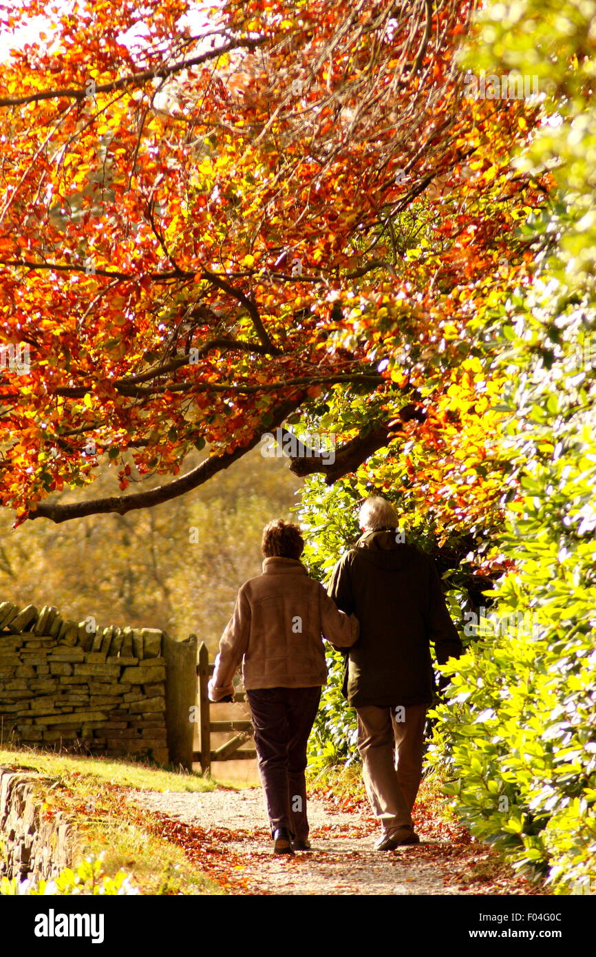 Una coppia senior a piedi al di sotto di autunno di foglie colorato nel bosco a Longshaw Station wagon in Peak District, DERBYSHIRE REGNO UNITO Foto Stock