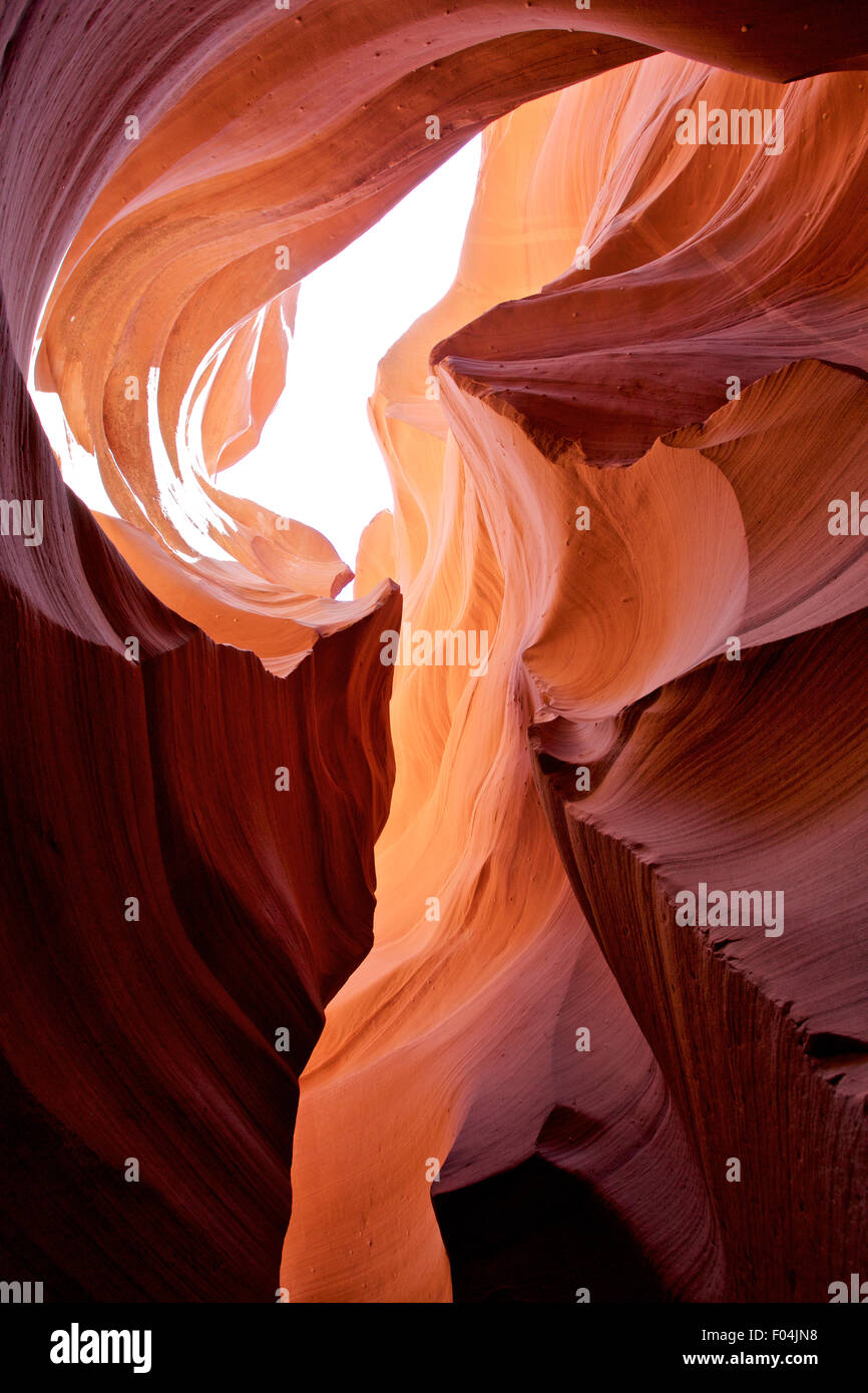 La magia del colore nel famoso Antelope Canyon, Arizona, Stati Uniti d'America Foto Stock