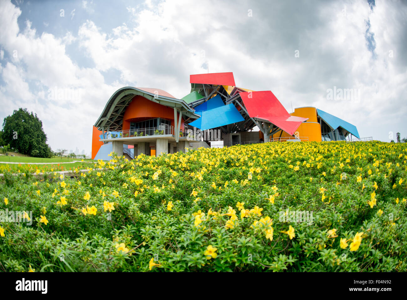 PANAMA CITY, Panama - aperto ai visitatori nell'ottobre 2014 e ospitato in un edificio caratteristico progettato dal famoso architetto Frank Gehry, il Biomuseo si è concentrato sulla biodiversità di Panama e sul ruolo speciale che l'istmo panamense ha svolto come ponte di terra tra il Nord e il Sud America. Si trova sul Causeway di Panama City, con vedute sul Pacifico da un lato e l'entrata del Canale di Panama dall'altro. Foto Stock