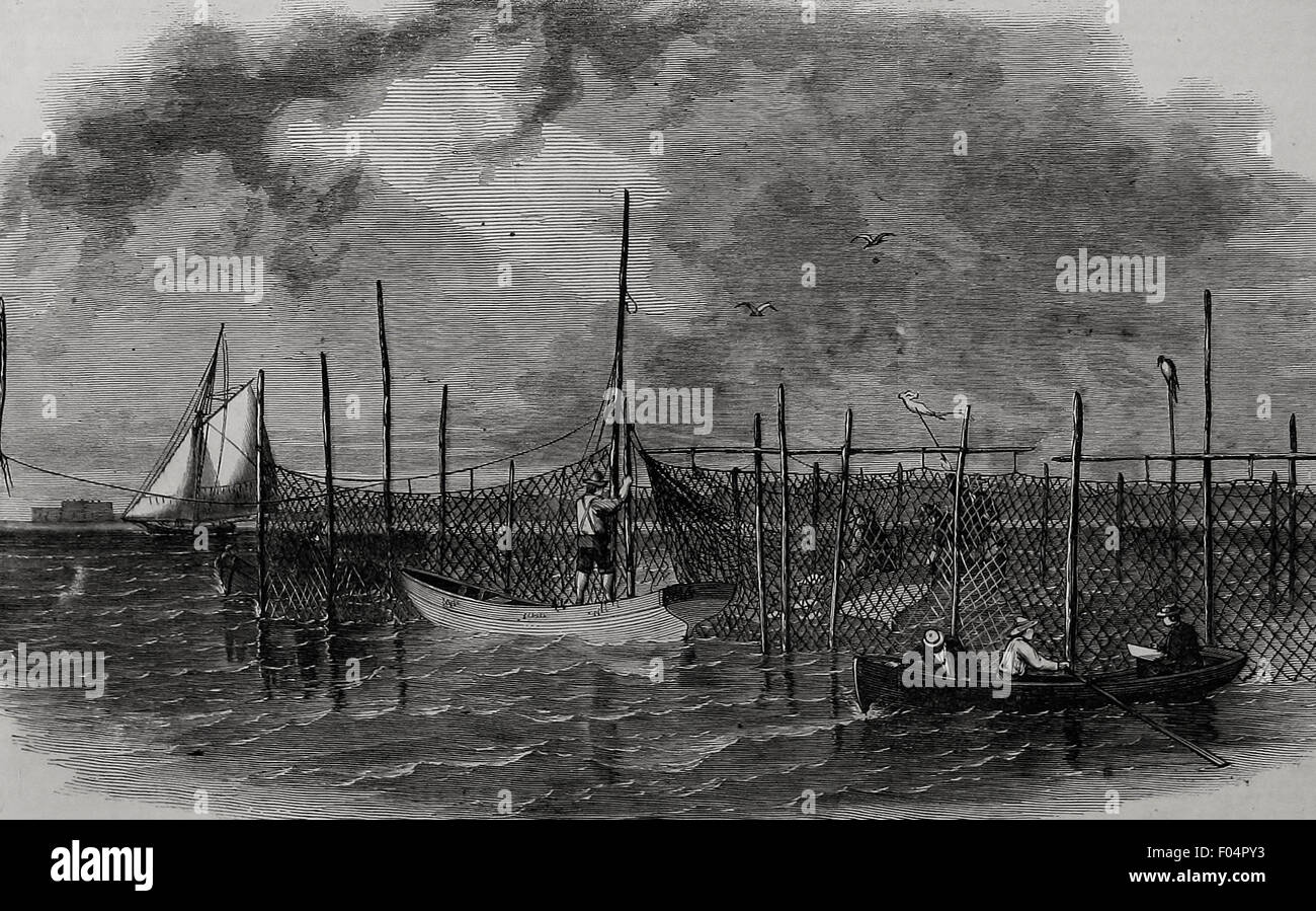 La pesca con le reti da cancelletto a Gravesend, Long Island, circa 1865 Foto Stock