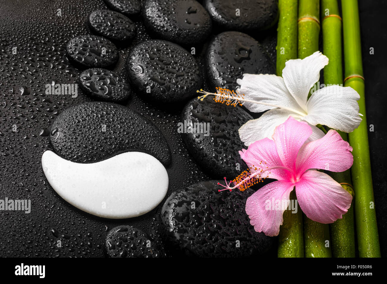 Sfondo spa di bianco, di rosa fiori di ibisco, simbolo Yin e Yang di bamboo naturale su zen pietre di basalto con rugiada, primo piano Foto Stock