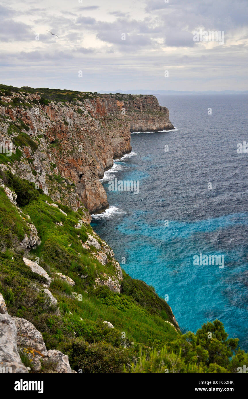capo Punta de SA Creu, scogliere e coste di es Monestir con acque blu limpide (la Mola, Formentera, Isole Pityusic, Mar Mediterraneo, Spagna) Foto Stock