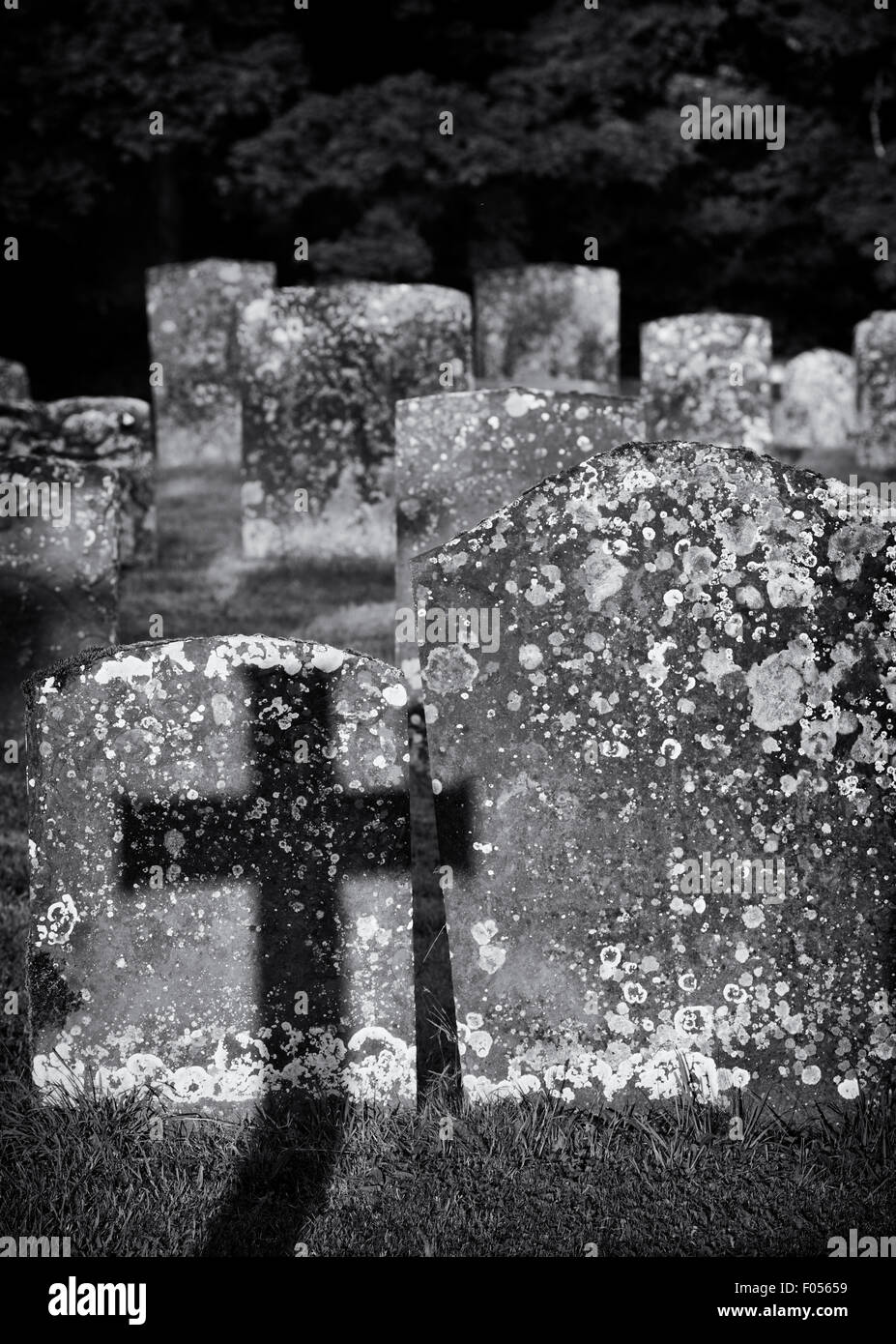 Croce di pietra tombale ombra su altre lapidi in un cimitero. Oxfordshire, Inghilterra Foto Stock
