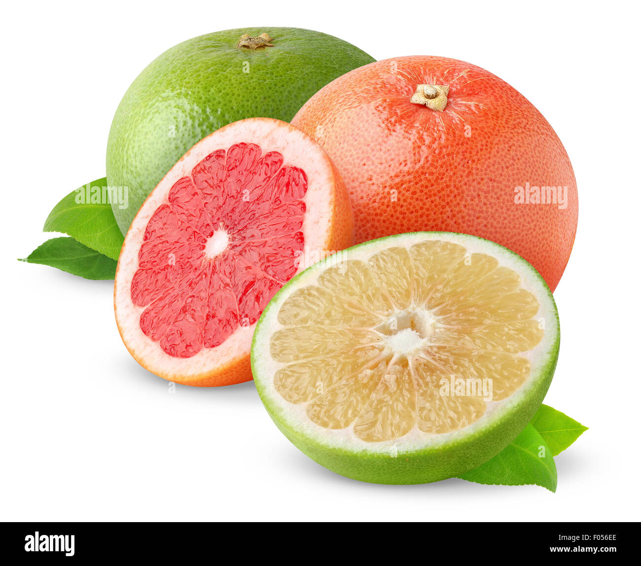 Rosa e Bianco pompelmi isolato su bianco Foto Stock