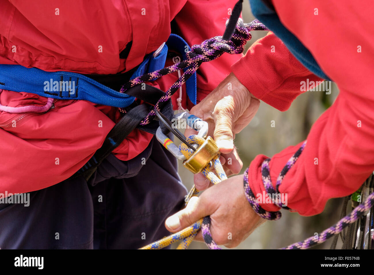 Rocciatore allegando una arrampicata corda di sicurezza e sosta dispositivo discensore per un debuttante cablaggio del moschettone per la discesa in corda doppia. Wales UK Foto Stock