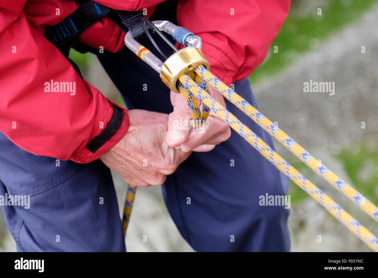 Scalatore di discesa in corda doppia tenendo un arrampicata corda di sicurezza e il dispositivo di assicurazione rappel discensore fissata al cavo moschettone. Wales UK Foto Stock