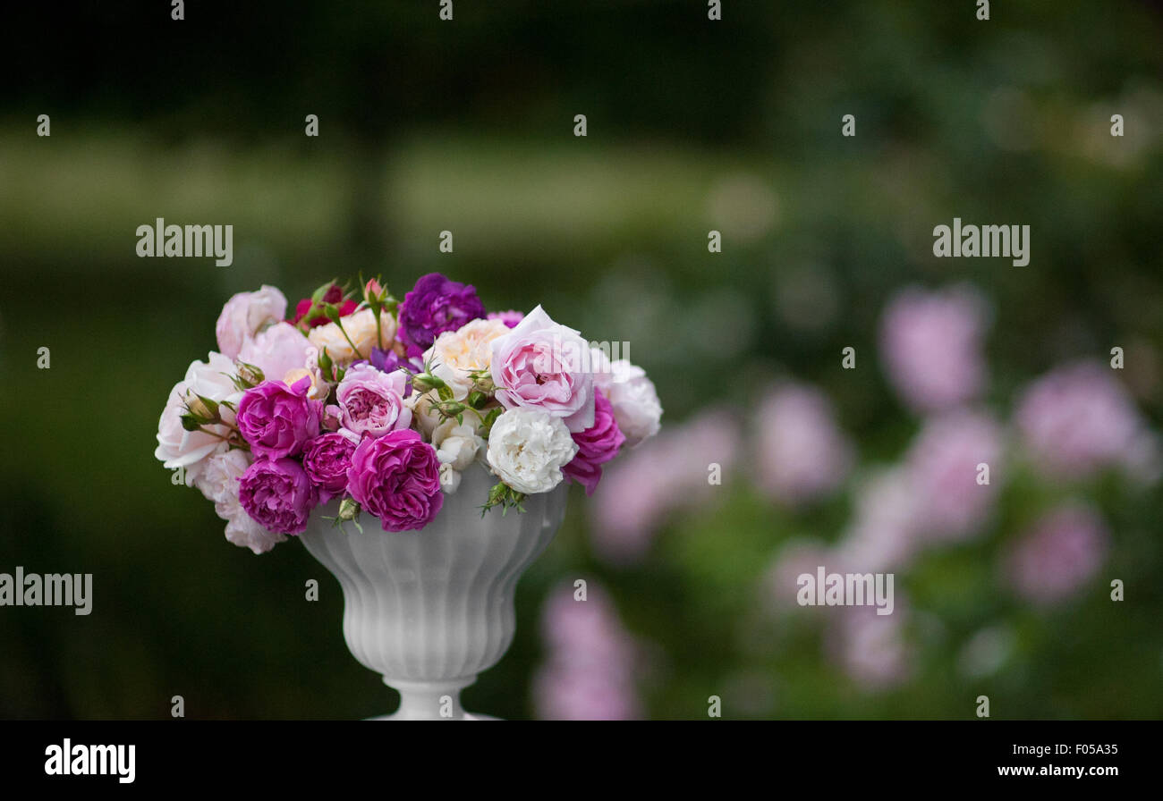 Vintage Rose in un vaso Foto Stock