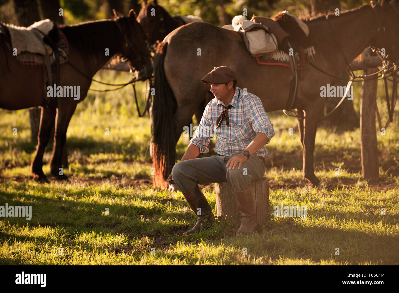 Gaucho si siede da cavalli nella luce della sera a Estancia Los Potreros, Cordoba, Argentina. Foto Stock