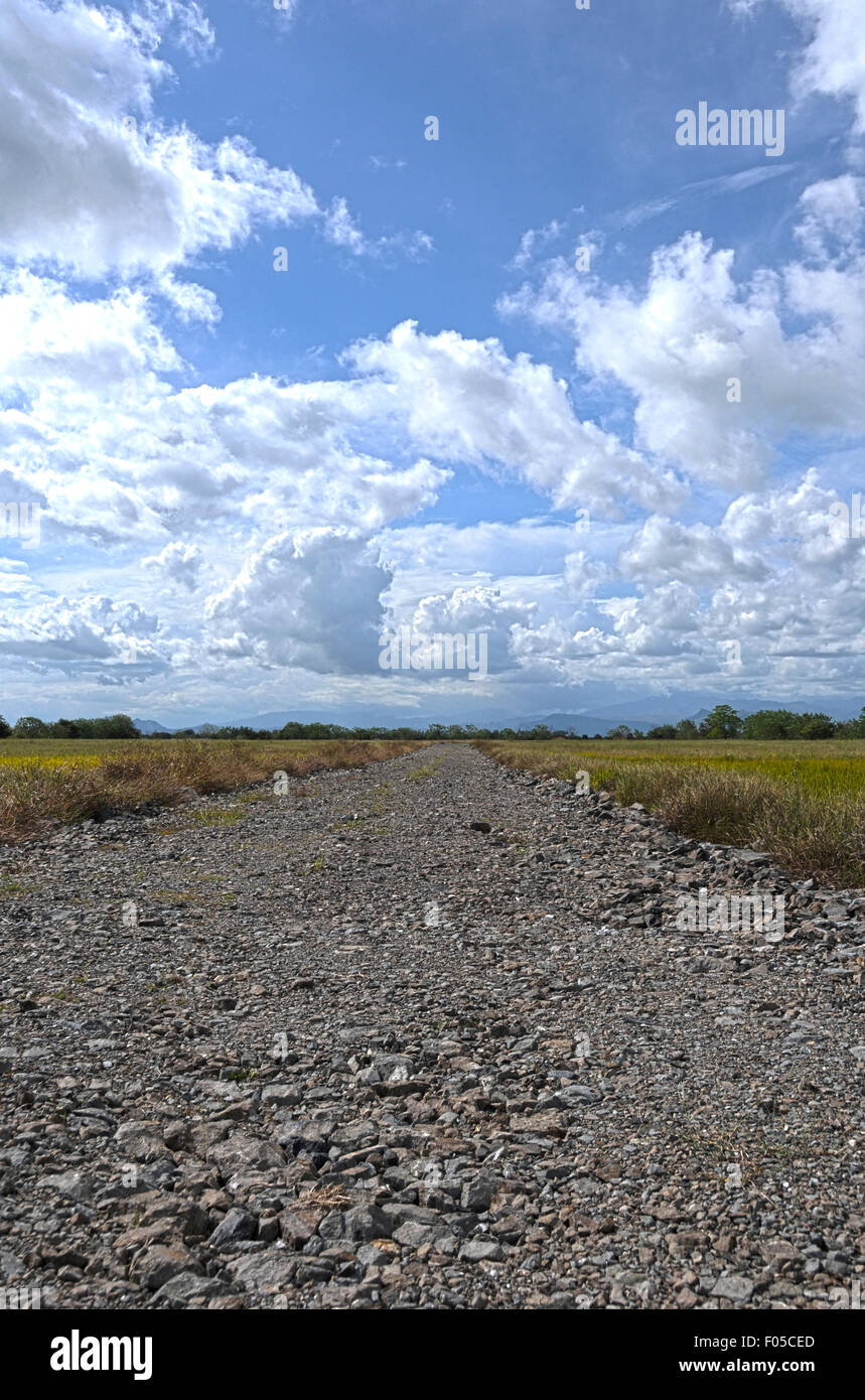 Strada di pietra nel mezzo di un campo con un cielo blu Foto Stock Strada di pietra nel mezzo di un campo con un cielo blu Foto Stock