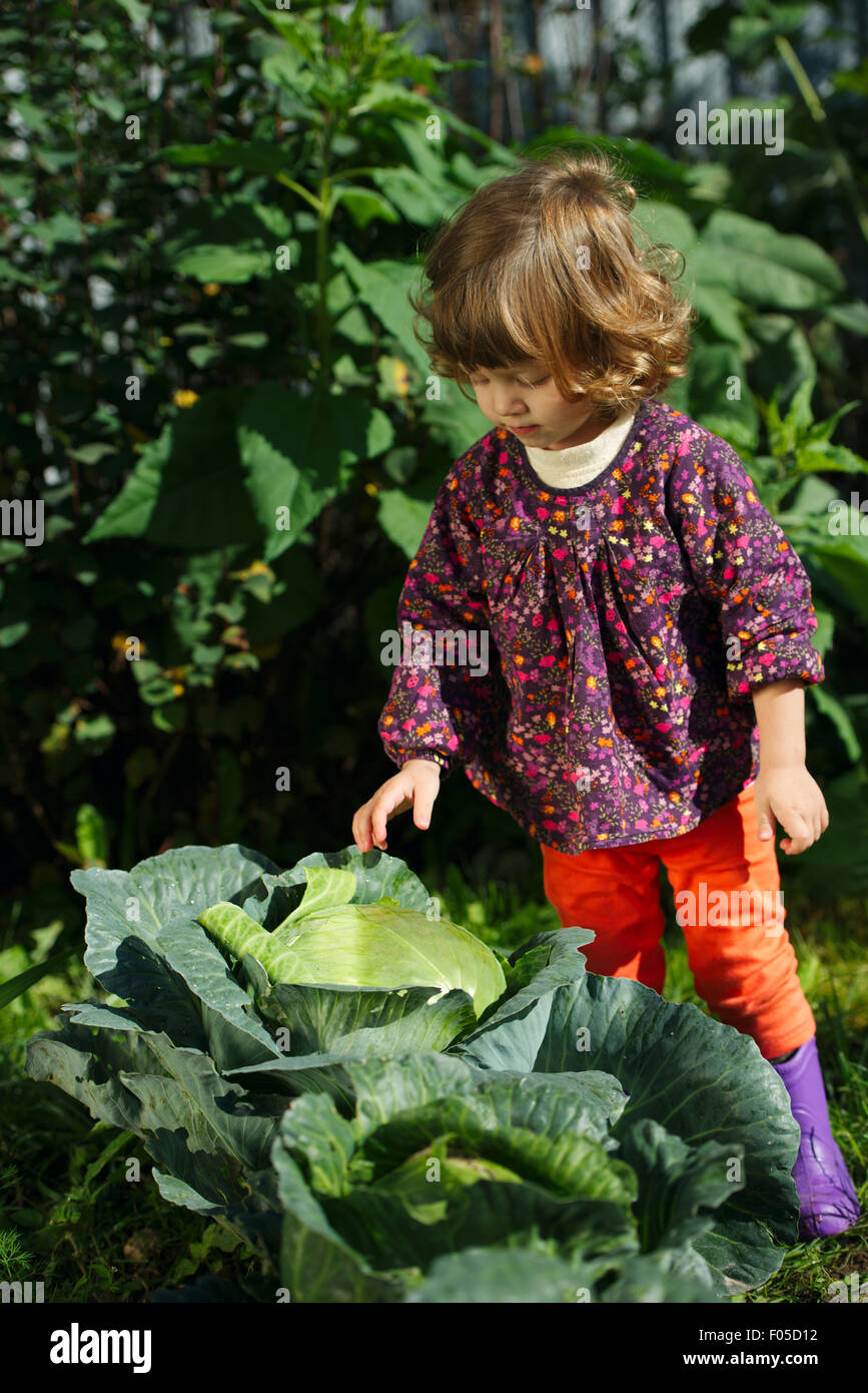 Bambina in giardino con cavolo Foto Stock