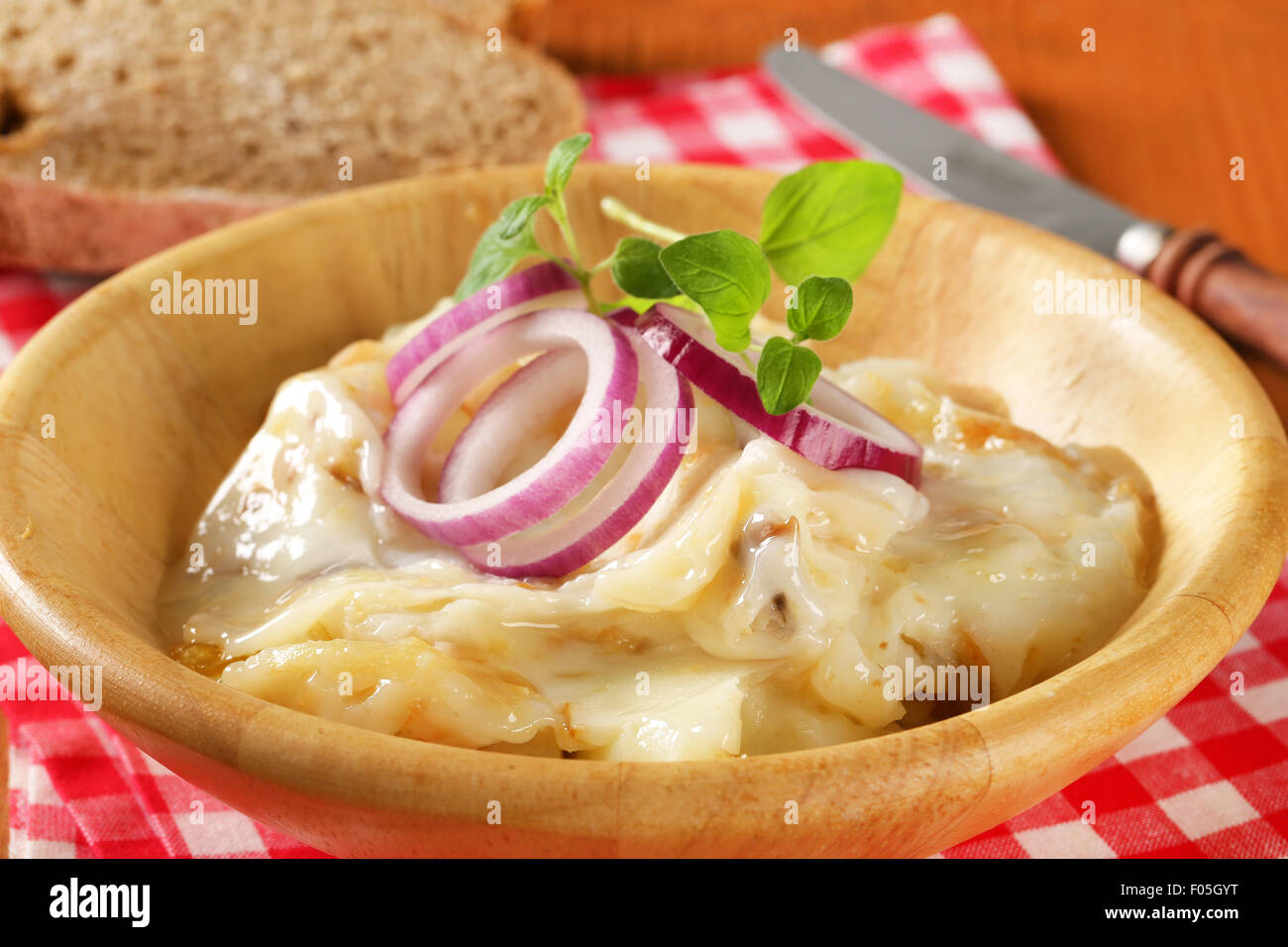 Anatra grasso da spalmare con la cipolla tagliata a fette sottili Foto Stock