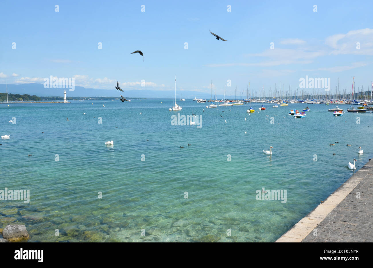 Città di Ginevra vista lago Foto Stock