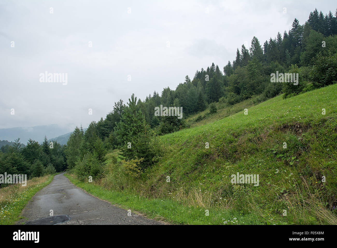 Strada in Beskidy montagne in Polonia Foto Stock