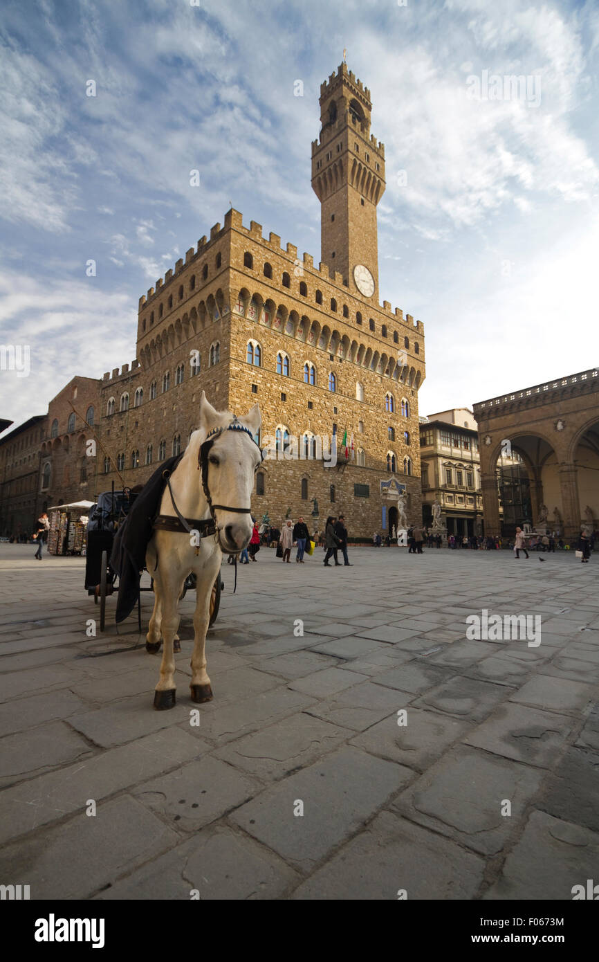 Un allenatore di cavalli di fronte a Palazzo Vecchio in Piazza della Signoria, Firenze, Italia Foto Stock
