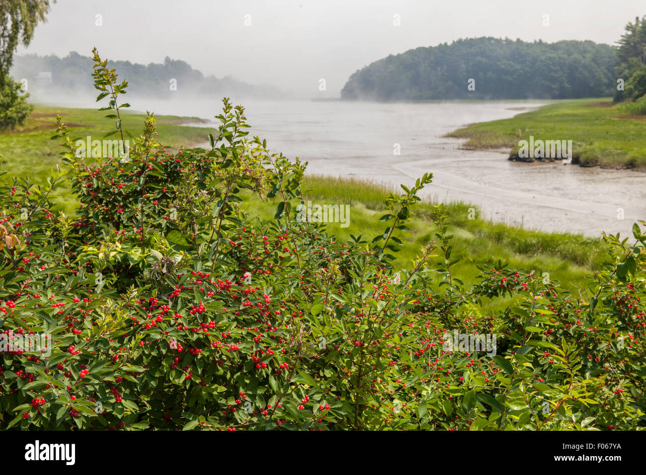 Barrell stagno, York, Maine Foto Stock