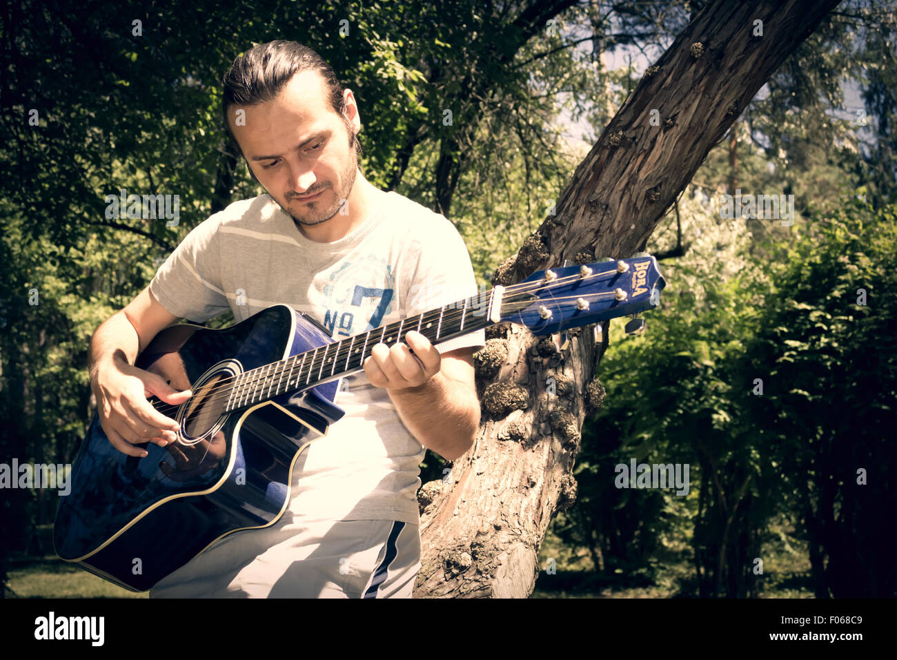 Lettore di chitarra a cantare in un parco seduto su una struttura ad albero Foto Stock