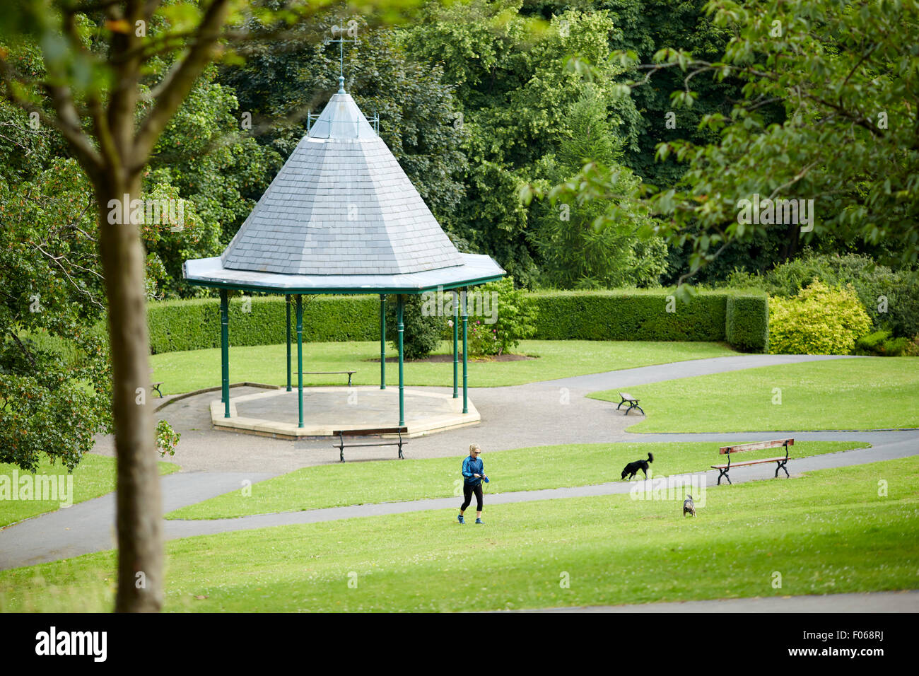 Vernon Park Stockport il più antico parco pubblico, un dog walker passa il bandstand (nuovo, ma il disegno originale di corrispondenze UK Gran Brita Foto Stock