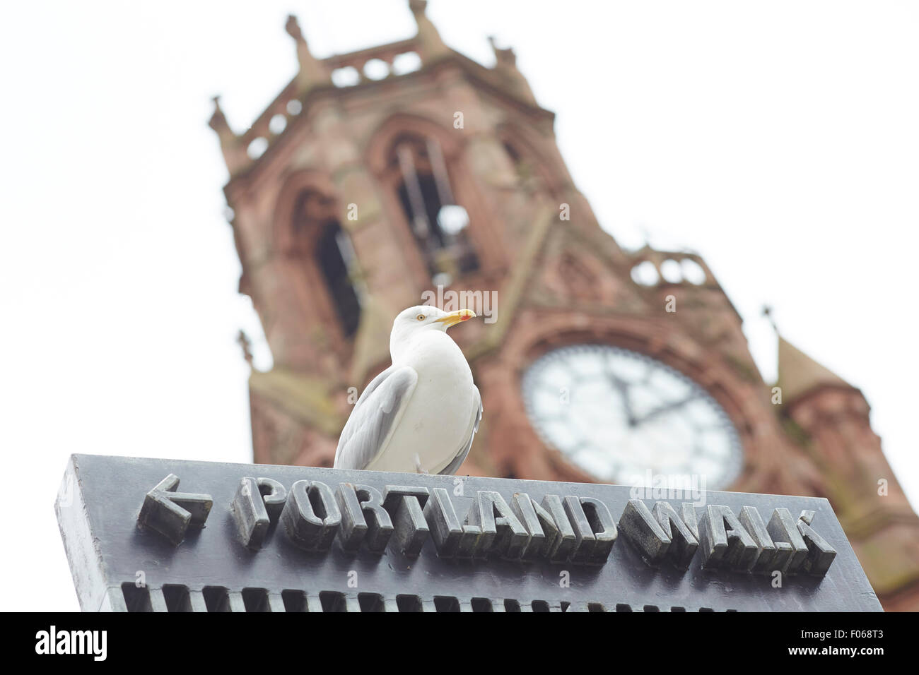 Barrow-inFurPortland a piedi accedi ness municipio orologio e il sea gull reming sulla destinazione avviso Foto Stock