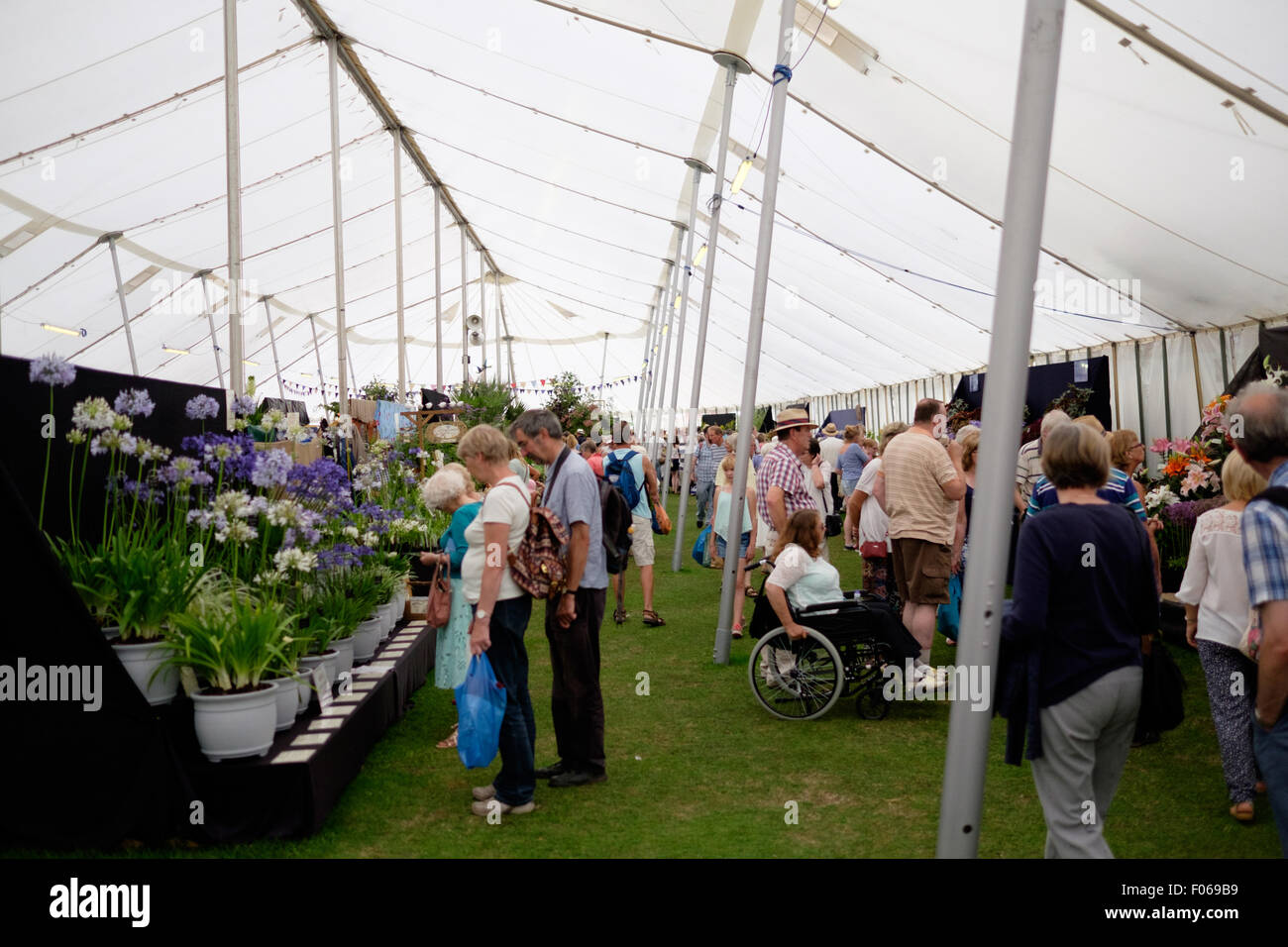 Taunton, Somerset, Regno Unito. Il 7 agosto, 2015. Il pezzo centrale del film sono il gran numero di concorrenti e classi classi floreali marquees. Intorno alla tenda sono una vasta gamma di operatori orticola. Credito: Andrew Johns/Alamy Live News Foto Stock