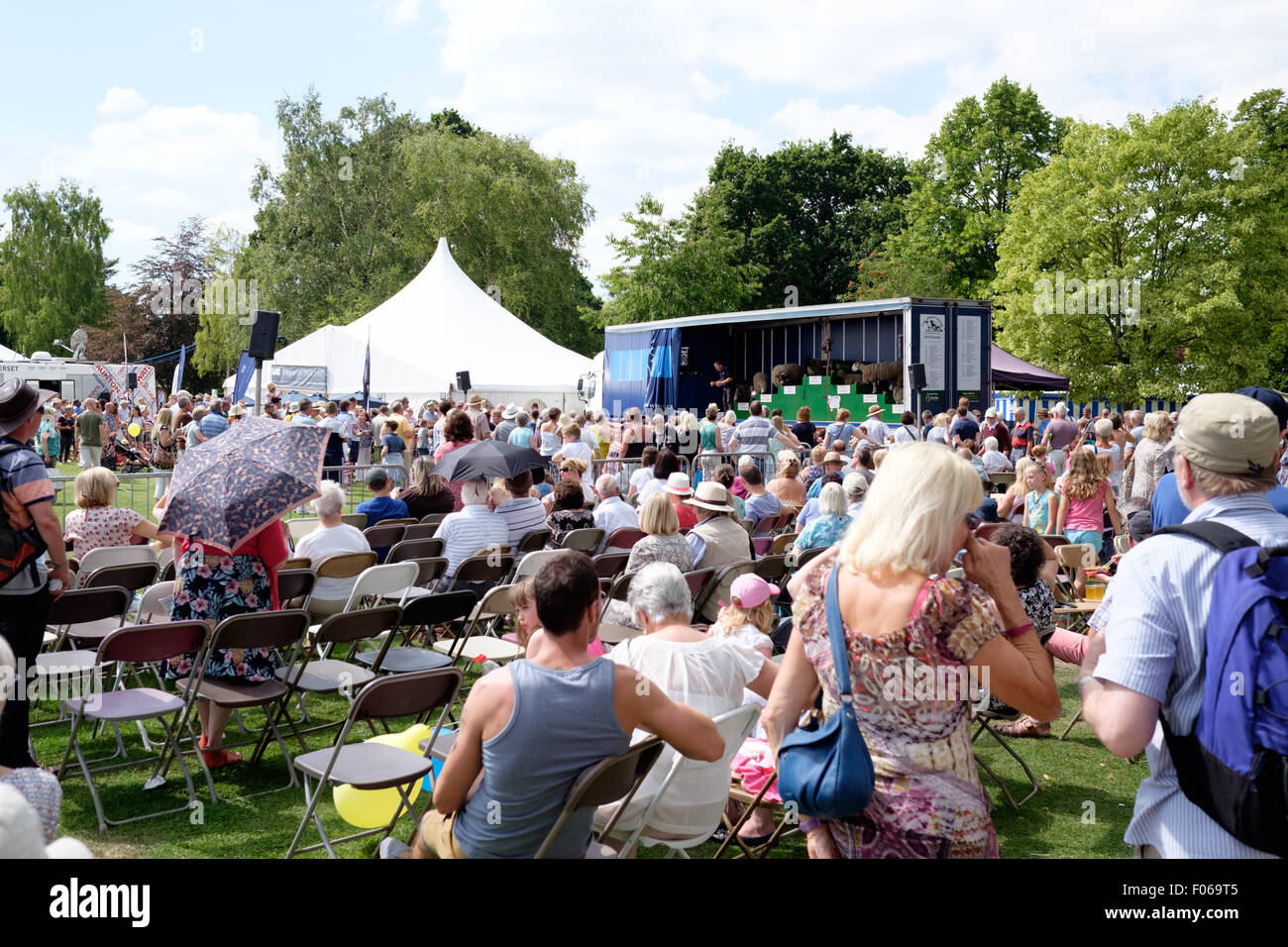 Taunton, Somerset, Regno Unito. Il 7 agosto, 2015. Il pezzo centrale del film sono il gran numero di concorrenti e classi classi floreali marquees. Intorno alla tenda sono una vasta gamma di operatori orticola. Credito: Andrew Johns/Alamy Live News Foto Stock