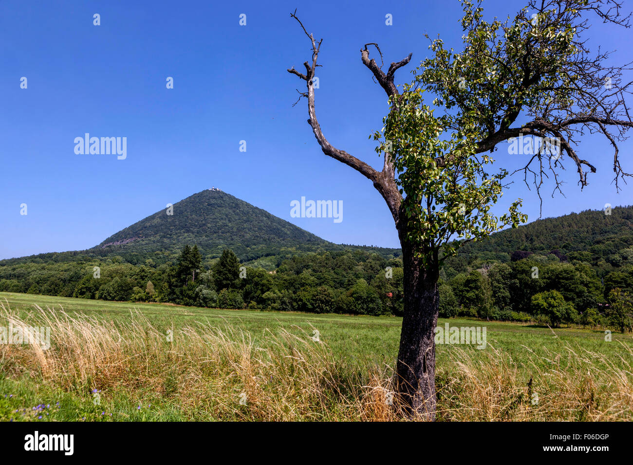 Milesovka è con i suoi 837 m la montagna più alta di Ceské Stredohori (Boemia centrale di montagna), Repubblica Ceca Foto Stock