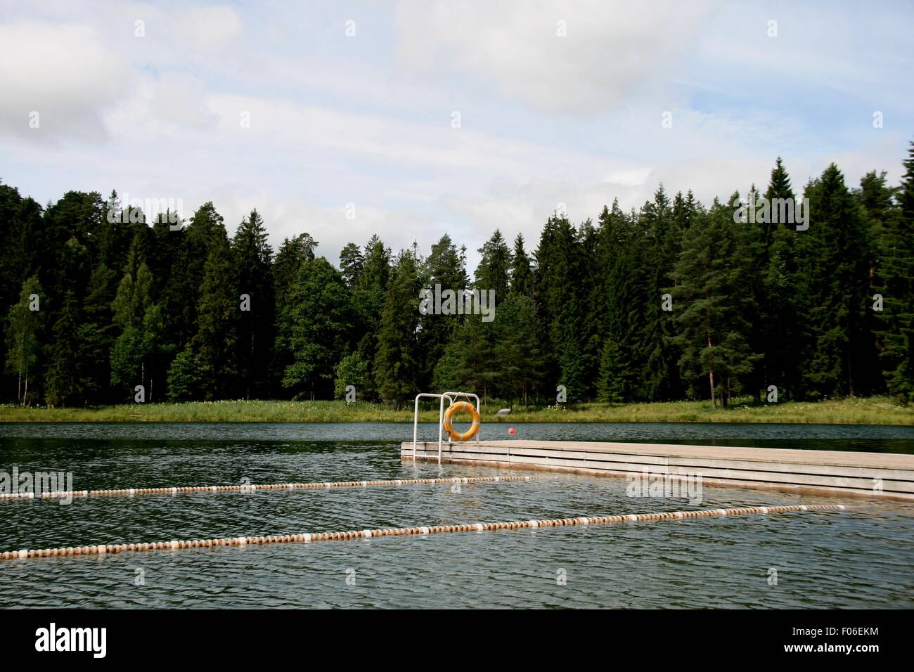 Il lago di Cingoli di nuoto Foto Stock