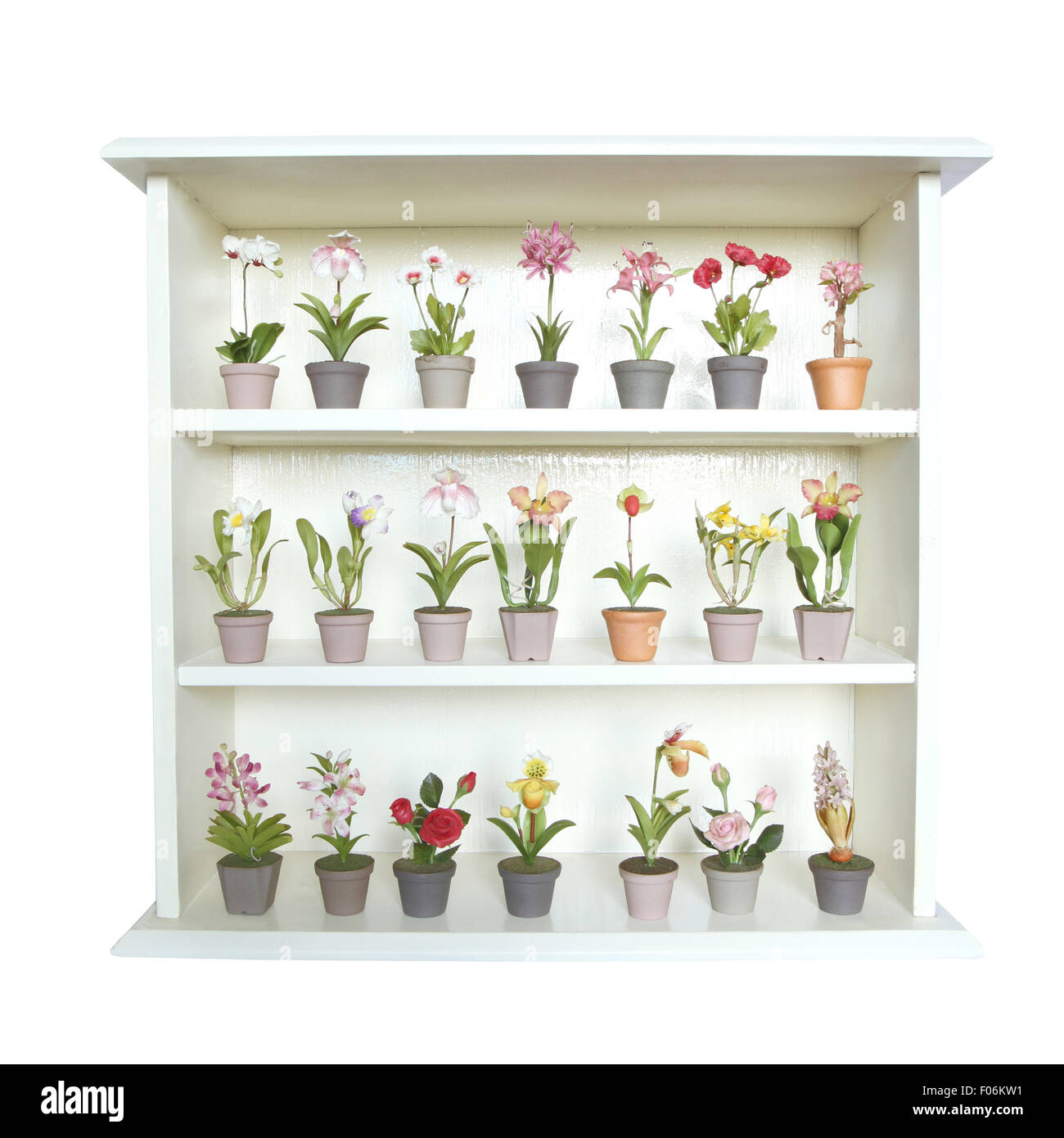 Argilla colorato fiore in fiore cabinet Foto Stock