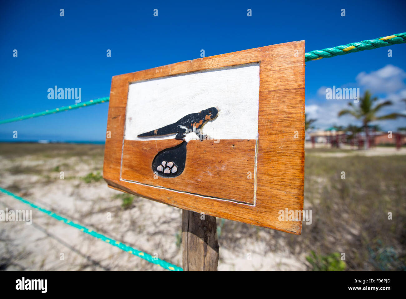 Cartello in legno a protezione di una zona chiusa durante il nesting vicino alla costa di Isabela island al fine di preservare la popolazione di iguana Foto Stock