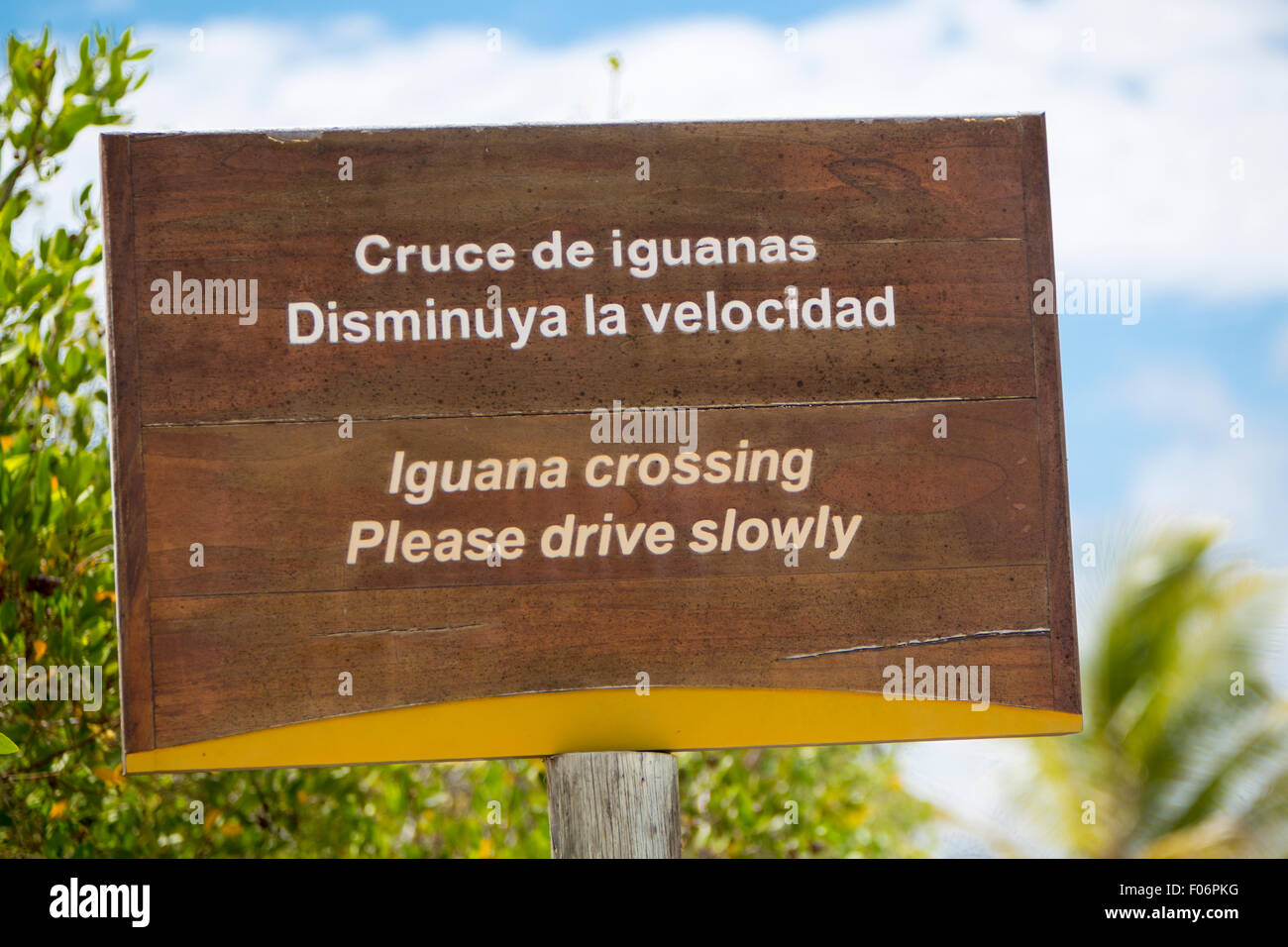 Cartello in legno a protezione di una zona chiusa durante il nesting vicino alla costa di Isabela island al fine di preservare la popolazione di iguana Foto Stock