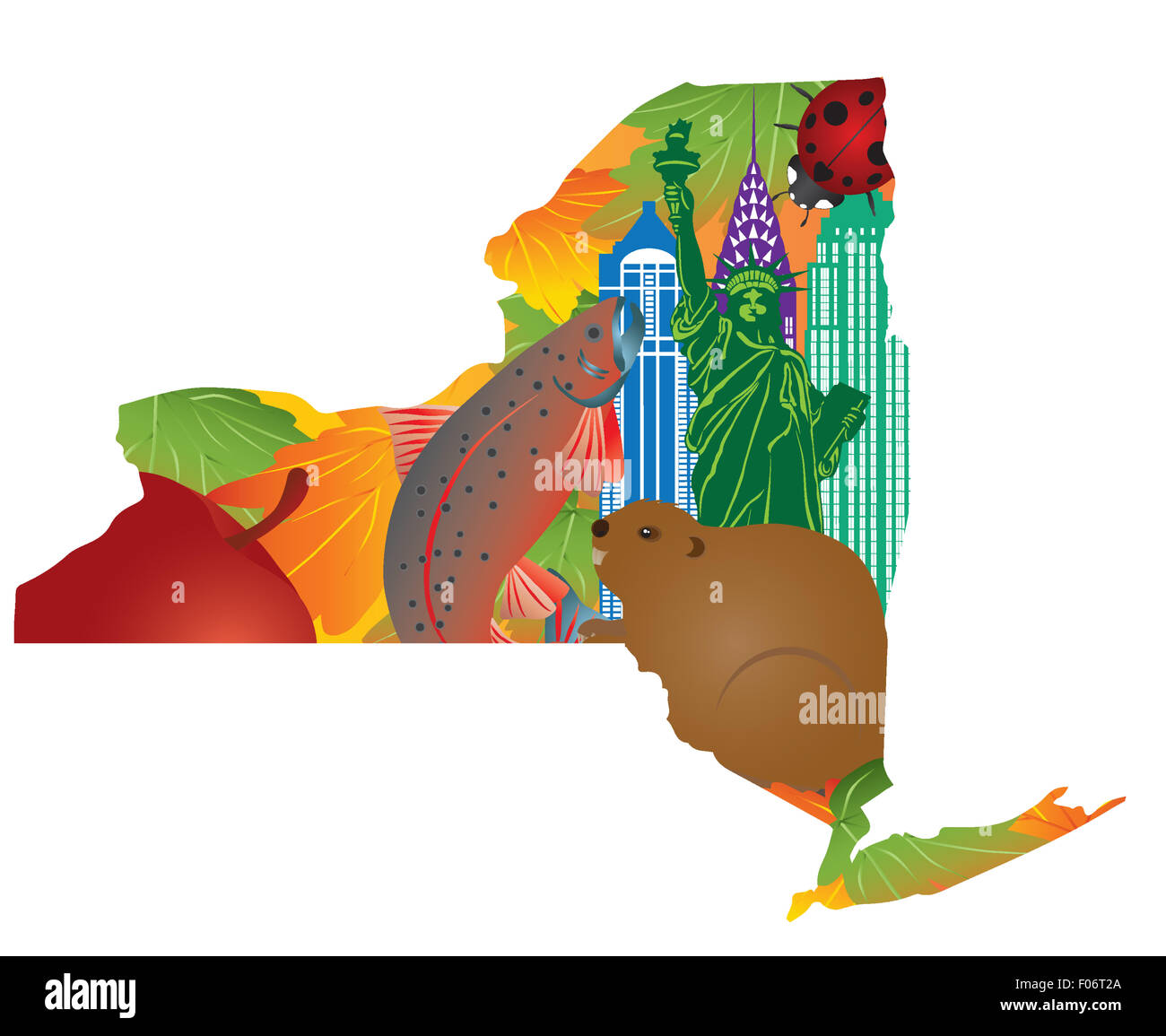 Stato di New York simboli ufficiali con la Statua della Libertà Beaver Brook Trout Ladybug Big Apple lo zucchero foglie di acero in mappa contorno Foto Stock